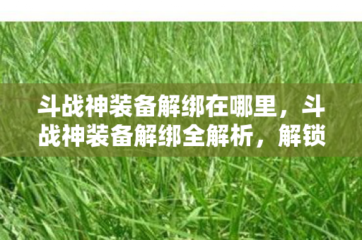 斗战神装备解绑在哪里,斗战神装备解绑全解析,解锁自由交易的秘密 斗战神装备解绑在哪里,斗战神装备解绑全解析,解锁自由交易的秘密