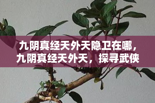 九阴真经天外天隐卫在哪,九阴真经天外天,探寻武侠世界的终极奥秘 九阴真经天外天隐卫在哪,九阴真经天外天,探寻武侠世界的终极奥秘