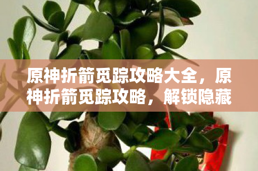 原神折箭觅踪攻略大全，原神折箭觅踪攻略，解锁隐藏任务，探索未知领域