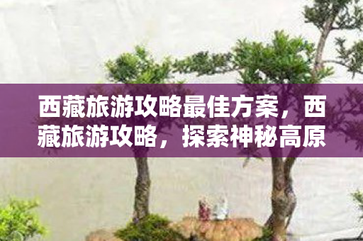 西藏旅游攻略最佳方案,西藏旅游攻略,探索神秘高原的绝美风光 西藏旅游攻略最佳方案,西藏旅游攻略,探索神秘高原的绝美风光