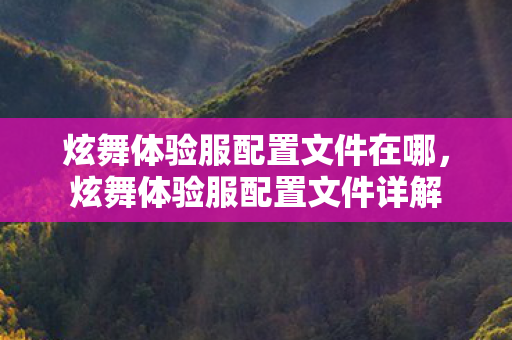 炫舞体验服配置文件在哪，炫舞体验服配置文件详解