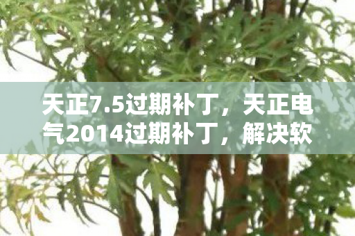 天正7.5过期补丁,天正电气2014过期补丁,解决软件过期问题的有效方法 天正7.5过期补丁,天正电气2014过期补丁,解决软件过期问题的有效方法