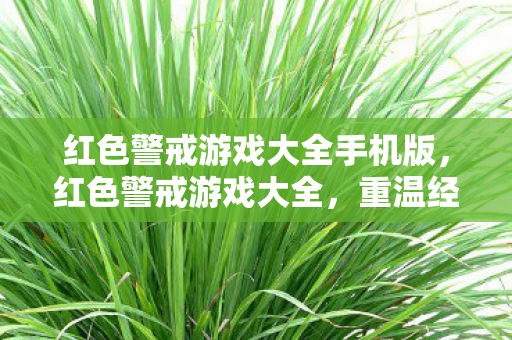 红色警戒游戏大全手机版,红色警戒游戏大全,重温经典,挑战未来 红色警戒游戏大全手机版,红色警戒游戏大全,重温经典,挑战未来