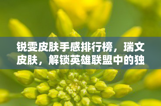 锐雯皮肤手感排行榜，瑞文皮肤，解锁英雄联盟中的独特魅力
