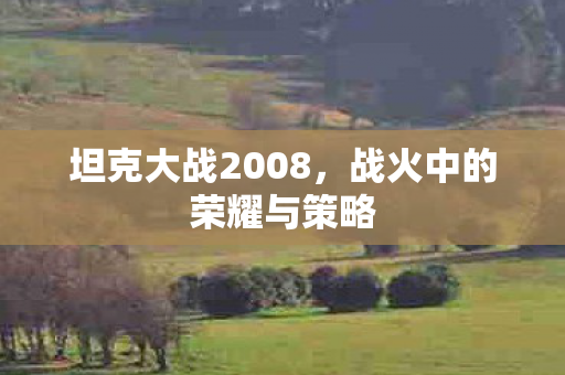 坦克大战2008，战火中的荣耀与策略