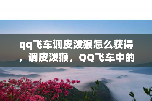 qq飞车调皮泼猴怎么获得,调皮泼猴,QQ飞车中的速度与激情 qq飞车调皮泼猴怎么获得,调皮泼猴,QQ飞车中的速度与激情