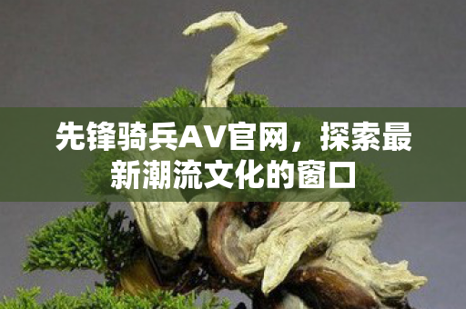 先锋骑兵AV官网,探索最新潮流文化的窗口 先锋骑兵AV官网,探索最新潮流文化的窗口