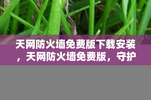 天网防火墙免费版下载安装,天网防火墙免费版,守护网络安全的第一道防线 天网防火墙免费版下载安装,天网防火墙免费版,守护网络安全的第一道防线