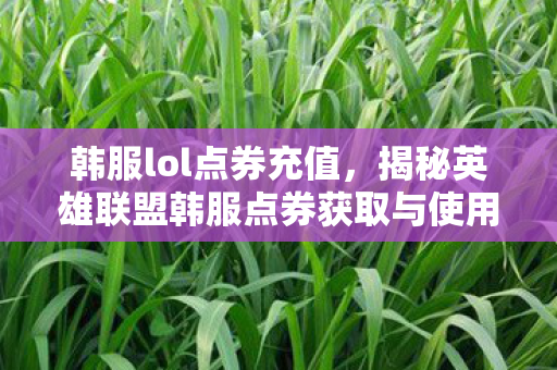 韩服lol点券充值,揭秘英雄联盟韩服点券获取与使用全攻略 韩服lol点券充值,揭秘英雄联盟韩服点券获取与使用全攻略