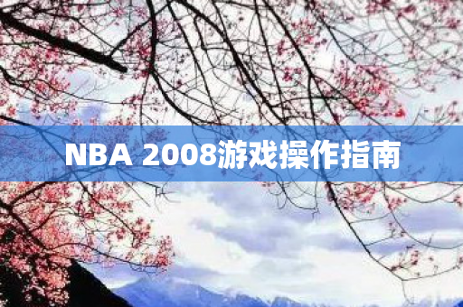 NBA 2008游戏操作指南 NBA 2008游戏操作指南