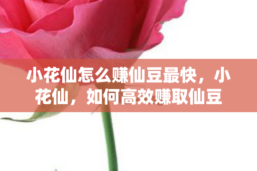 小花仙怎么赚仙豆最快，小花仙，如何高效赚取仙豆
