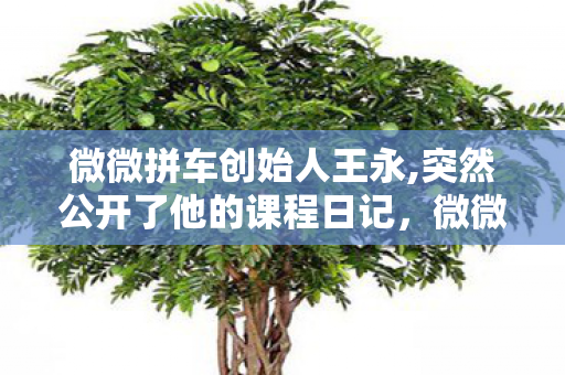 微微拼车创始人王永,突然公开了他的课程日记，微微拼车，共享经济下的出行新选择