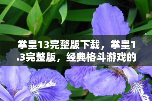 拳皇13完整版下载,拳皇1.3完整版,经典格斗游戏的巅峰之作 拳皇13完整版下载,拳皇1.3完整版,经典格斗游戏的巅峰之作