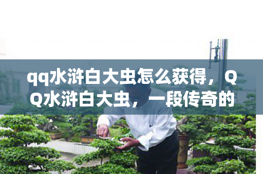 qq水浒白大虫怎么获得,QQ水浒白大虫,一段传奇的虚拟世界之旅 qq水浒白大虫怎么获得,QQ水浒白大虫,一段传奇的虚拟世界之旅