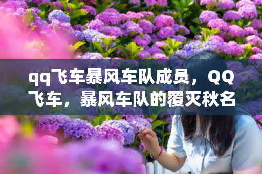 qq飞车暴风车队成员，QQ飞车，暴风车队的覆灭秋名山