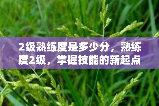 2级熟练度是多少分,熟练度2级,掌握技能的新起点 2级熟练度是多少分,熟练度2级,掌握技能的新起点