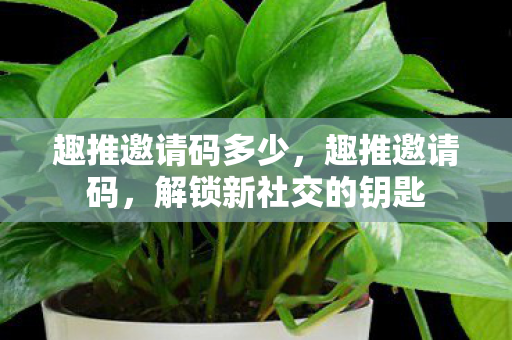 趣推邀请码多少,趣推邀请码,解锁新社交的钥匙 趣推邀请码多少,趣推邀请码,解锁新社交的钥匙