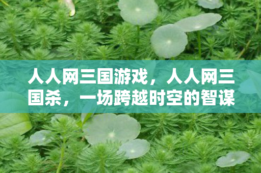人人网三国游戏,人人网三国杀,一场跨越时空的智谋对决 人人网三国游戏,人人网三国杀,一场跨越时空的智谋对决