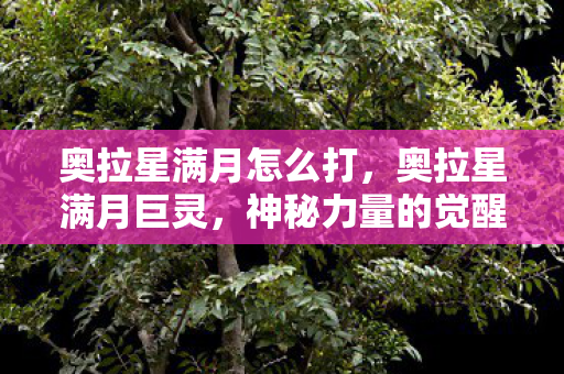 奥拉星满月怎么打,奥拉星满月巨灵,神秘力量的觉醒 奥拉星满月怎么打,奥拉星满月巨灵,神秘力量的觉醒