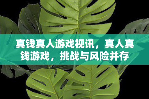 真钱真人游戏视讯，真人真钱游戏，挑战与风险并存