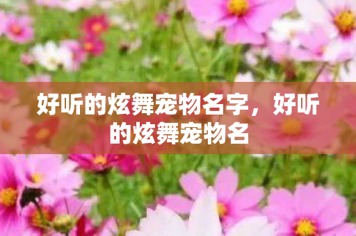 好听的炫舞宠物名字，好听的炫舞宠物名