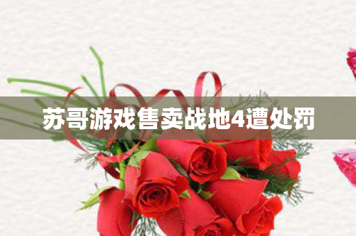 苏哥游戏售卖战地4遭处罚 苏哥游戏售卖战地4遭处罚