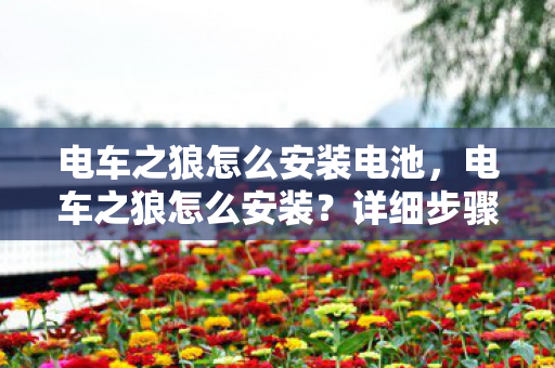 电车之狼怎么安装电池,电车之狼怎么安装?详细步骤解析 电车之狼怎么安装电池,电车之狼怎么安装?详细步骤解析