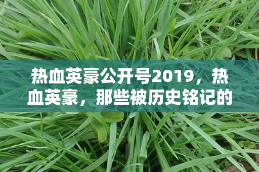 热血英豪公开号2019,热血英豪,那些被历史铭记的公号 热血英豪公开号2019,热血英豪,那些被历史铭记的公号