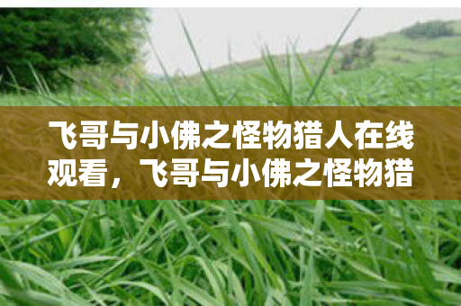 飞哥与小佛之怪物猎人在线观看，飞哥与小佛之怪物猎人