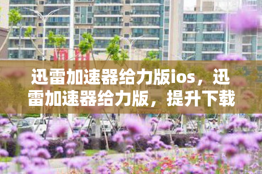 迅雷加速器给力版ios，迅雷加速器给力版，提升下载速度，畅享高速网络体验