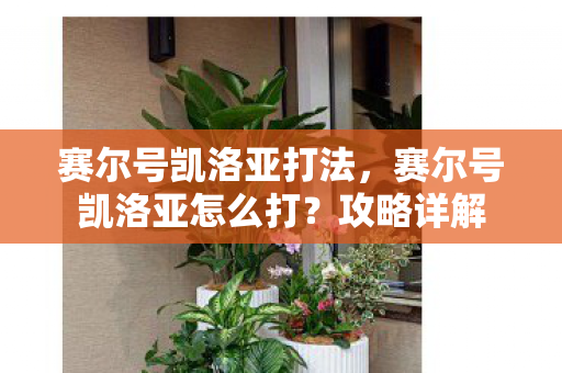 赛尔号凯洛亚打法,赛尔号凯洛亚怎么打?攻略详解 赛尔号凯洛亚打法,赛尔号凯洛亚怎么打?攻略详解