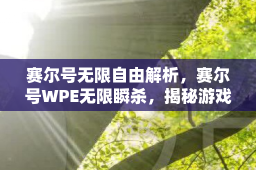 赛尔号无限自由解析，赛尔号WPE无限瞬杀，揭秘游戏内挂背后的真相