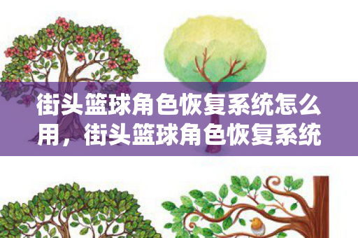 街头篮球角色恢复系统怎么用,街头篮球角色恢复系统,重塑经典,再现辉煌 街头篮球角色恢复系统怎么用,街头篮球角色恢复系统,重塑经典,再现辉煌