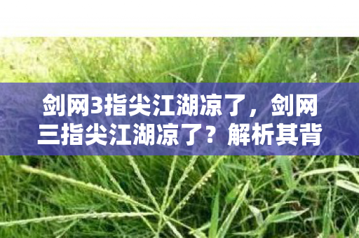 剑网3指尖江湖凉了,剑网三指尖江湖凉了?解析其背后的原因与未来展望 剑网3指尖江湖凉了,剑网三指尖江湖凉了?解析其背后的原因与未来展望