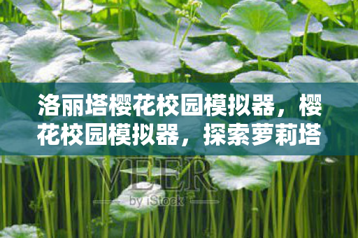 洛丽塔樱花校园模拟器，樱花校园模拟器，探索萝莉塔世界的奇妙之旅