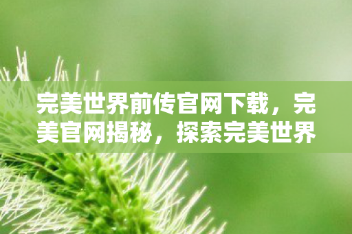 完美世界前传官网下载，完美官网揭秘，探索完美世界的前传故事