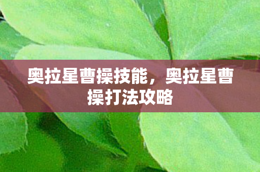 奥拉星曹操技能,奥拉星曹操打法攻略 奥拉星曹操技能,奥拉星曹操打法攻略