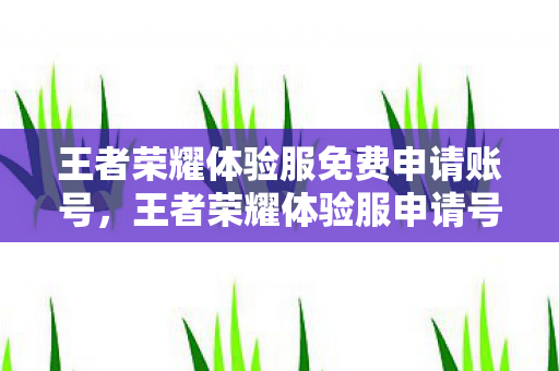 王者荣耀体验服免费申请账号,王者荣耀体验服申请号全解析,如何成功获取并玩转体验服? 王者荣耀体验服免费申请账号,王者荣耀体验服申请号全解析,如何成功获取并玩转体验服?