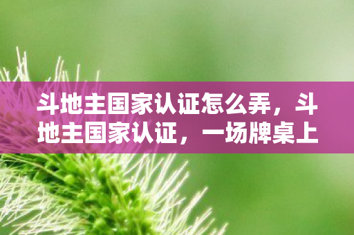 斗地主国家认证怎么弄,斗地主国家认证,一场牌桌上的智慧较量 斗地主国家认证怎么弄,斗地主国家认证,一场牌桌上的智慧较量