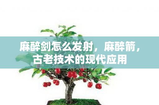 麻醉剑怎么发射,麻醉箭,古老技术的现代应用 麻醉剑怎么发射,麻醉箭,古老技术的现代应用