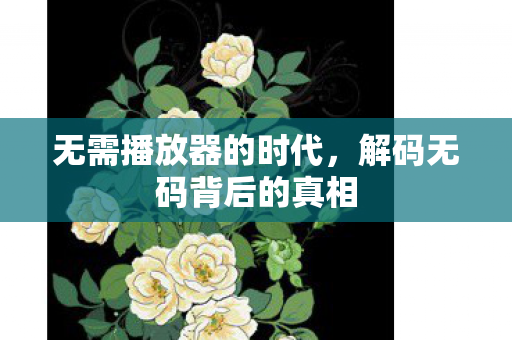 无需播放器的时代,解码无码背后的真相 无需播放器的时代,解码无码背后的真相