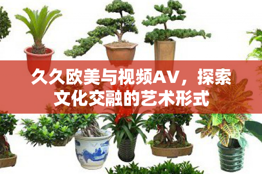久久欧美与视频AV,探索文化交融的艺术形式 久久欧美与视频AV,探索文化交融的艺术形式