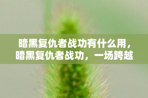 暗黑复仇者战功有什么用,暗黑复仇者战功,一场跨越时空的复仇之战 暗黑复仇者战功有什么用,暗黑复仇者战功,一场跨越时空的复仇之战