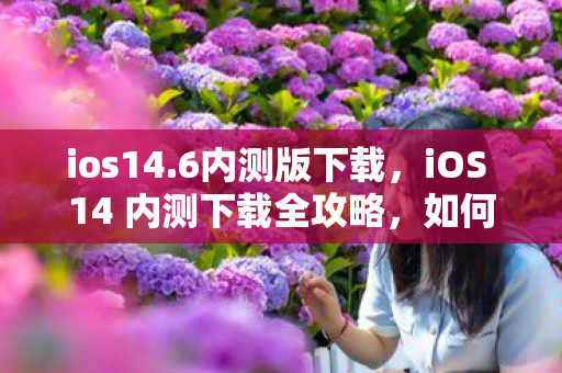 ios14.6内测版下载,iOS 14 内测下载全攻略,如何安全、顺利获取体验资格 ios14.6内测版下载,iOS 14 内测下载全攻略,如何安全、顺利获取体验资格
