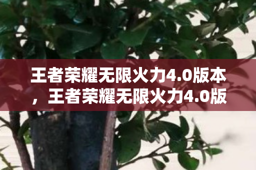 王者荣耀无限火力4.0版本,王者荣耀无限火力4.0版,解锁新玩法,挑战极限! 王者荣耀无限火力4.0版本,王者荣耀无限火力4.0版,解锁新玩法,挑战极限!