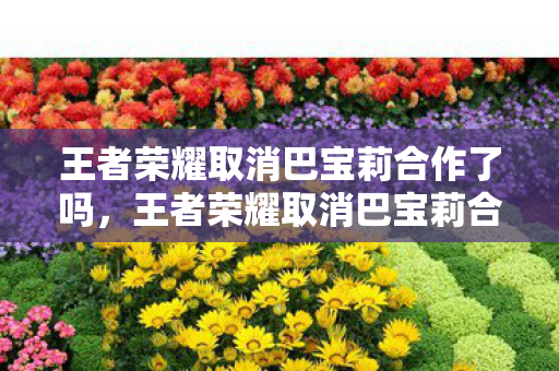 王者荣耀取消巴宝莉合作了吗,王者荣耀取消巴宝莉合作,一场品牌与游戏的跨界风波 王者荣耀取消巴宝莉合作了吗,王者荣耀取消巴宝莉合作,一场品牌与游戏的跨界风波