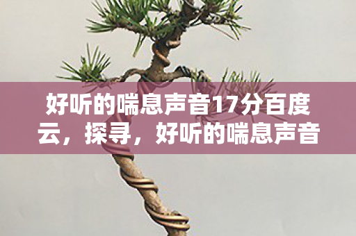 好听的喘息声音17分百度云,探寻,好听的喘息声音17分 好听的喘息声音17分百度云,探寻,好听的喘息声音17分