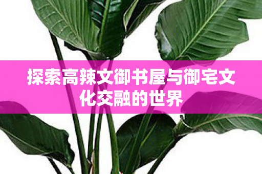 探索高辣文御书屋与御宅文化交融的世界 探索高辣文御书屋与御宅文化交融的世界