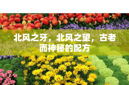 北风之牙,北风之望,古老而神秘的配方 北风之牙,北风之望,古老而神秘的配方