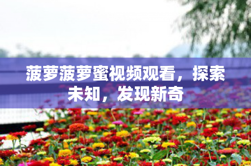 菠萝菠萝蜜视频观看,探索未知,发现新奇 菠萝菠萝蜜视频观看,探索未知,发现新奇